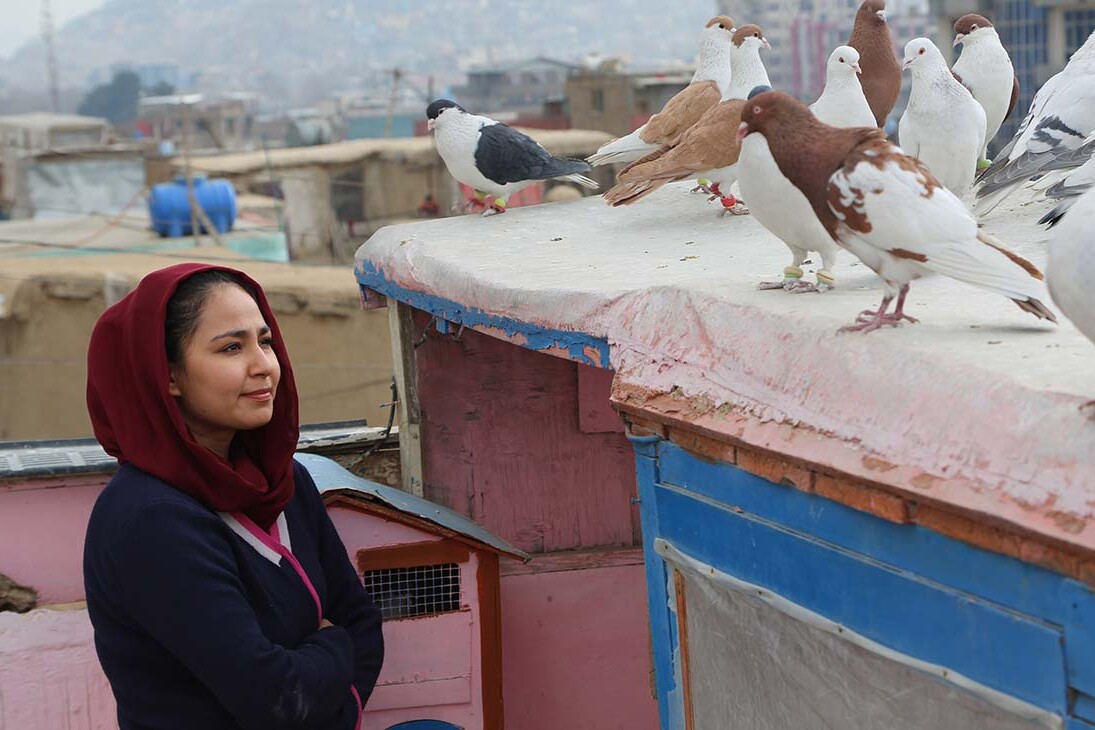 Hava, Maryam, Ayesha (Sahraa Karimi, 2019)