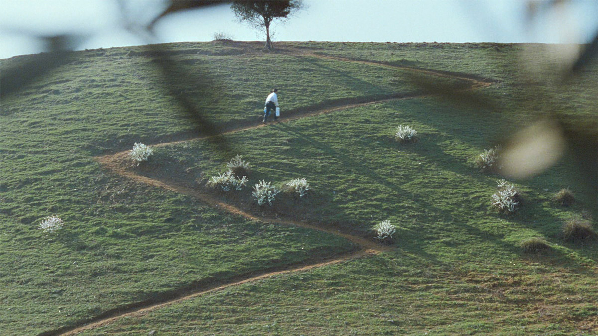Under olivträden (Abbas Kiarostami, 1994)