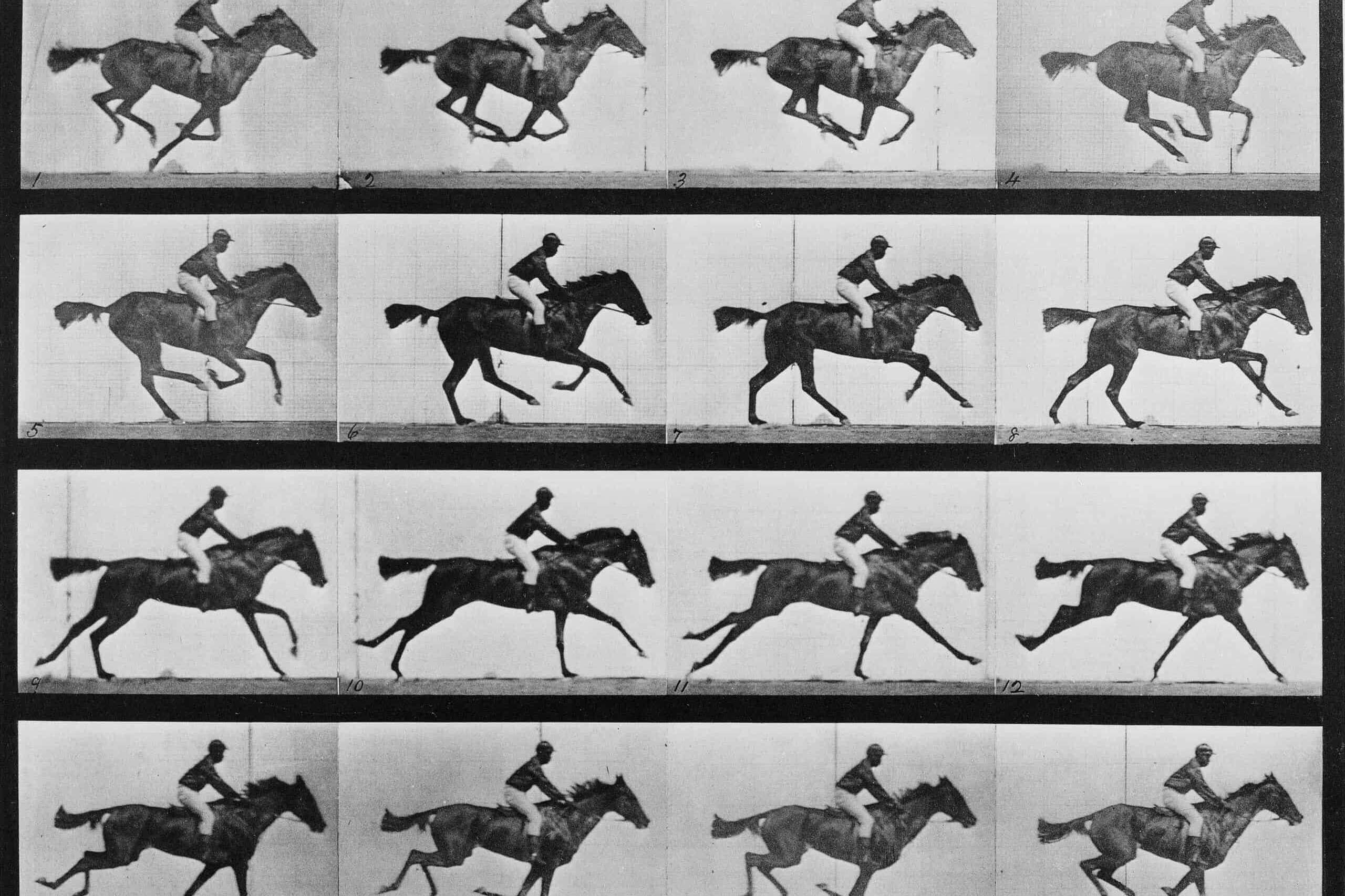 Eadweard Muybridge fotade djur och människor på 1800-talet i protofilmiska experiment.