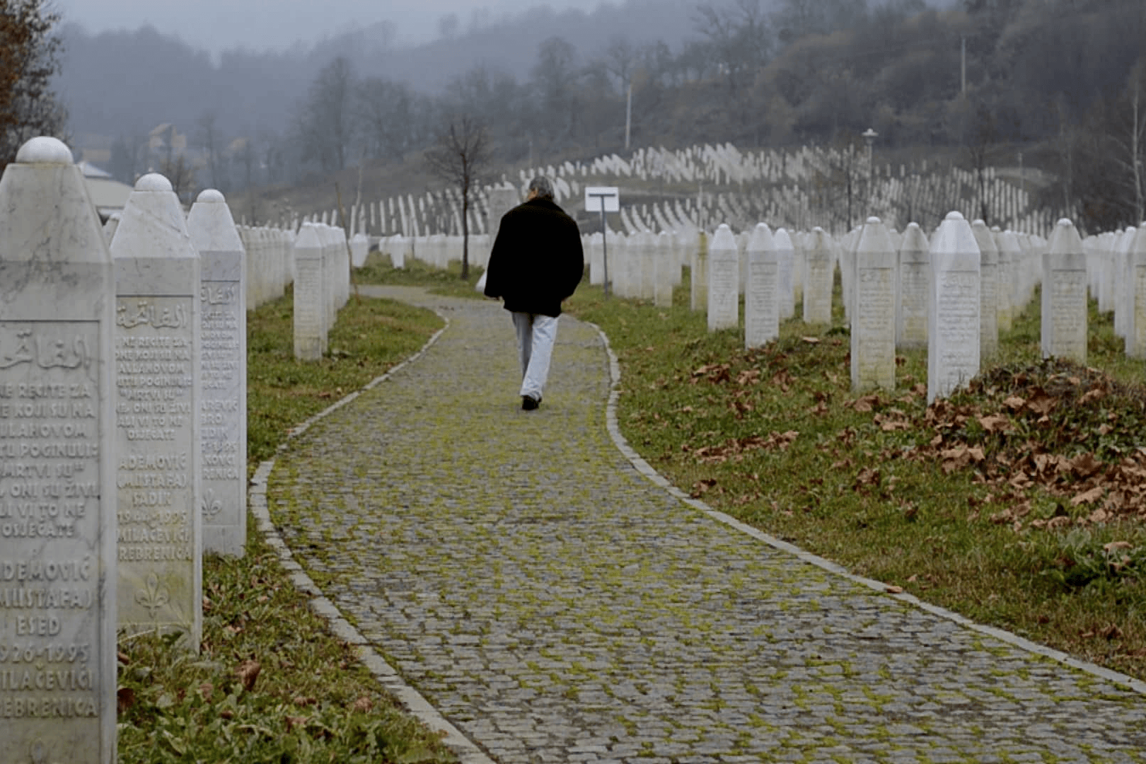 The fog of Srebrenica (2015)