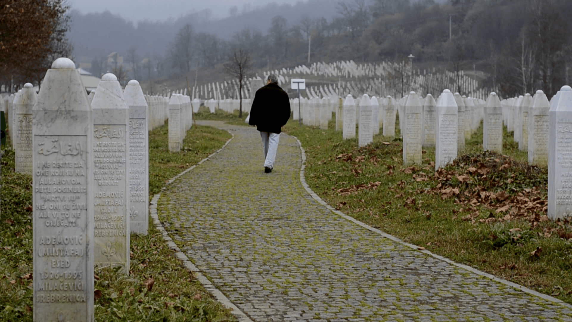 The fog of Srebrenica (2015)