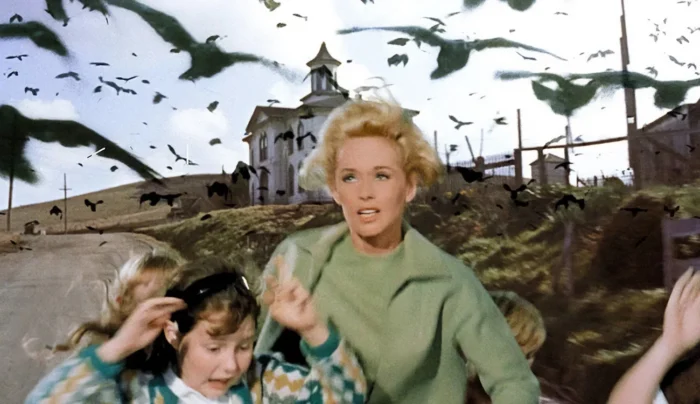 Fåglarna (1963)