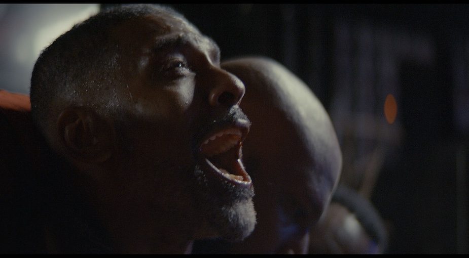 The dog (2024)