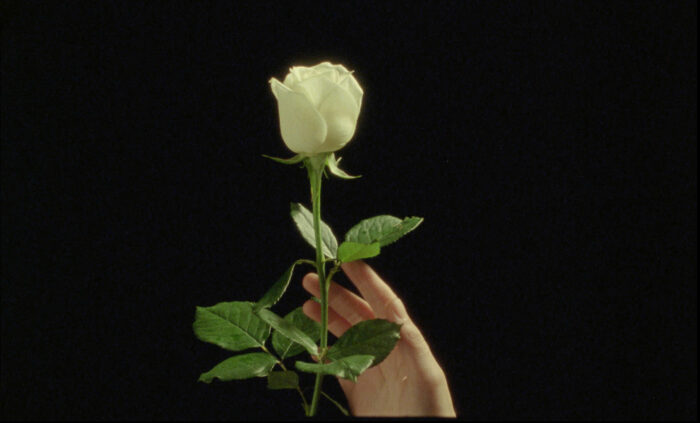 La belle anée (Angelica Ruffier, 2026)