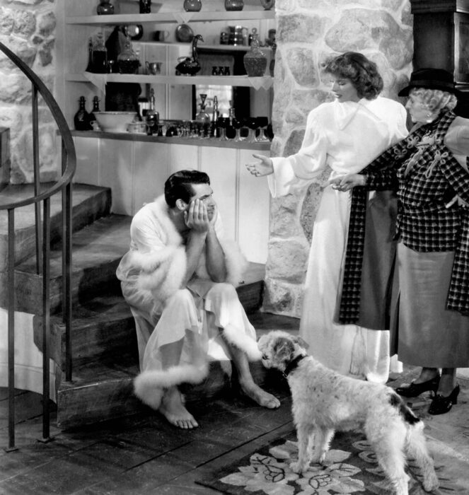 Ingen fara på taket (Howard Hawks, 1938)