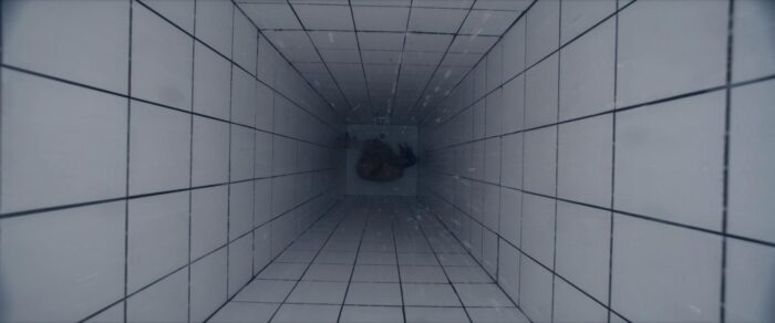 The substance (Coralie Fargeat, 2024)